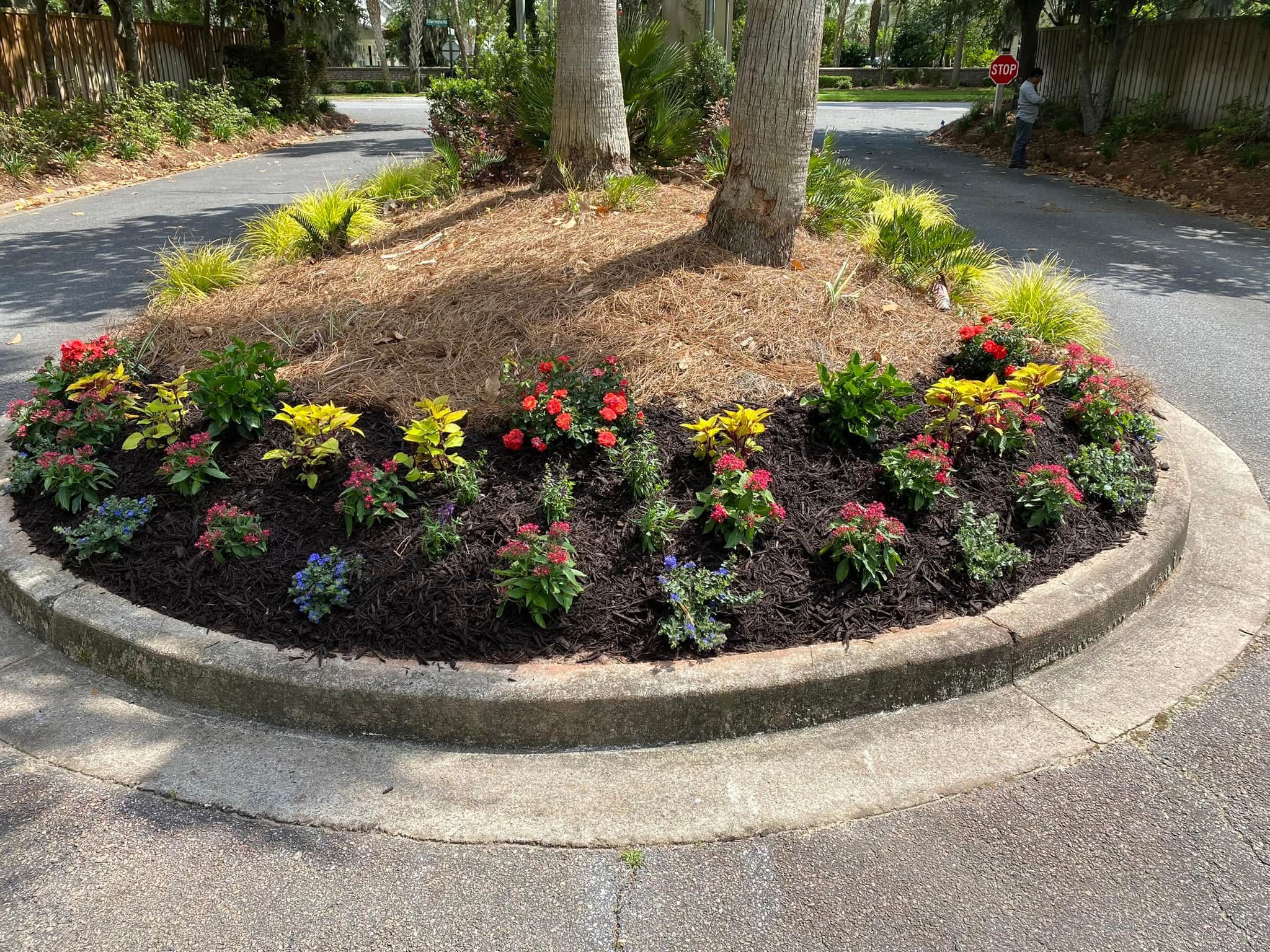 Peach & Palm project 10