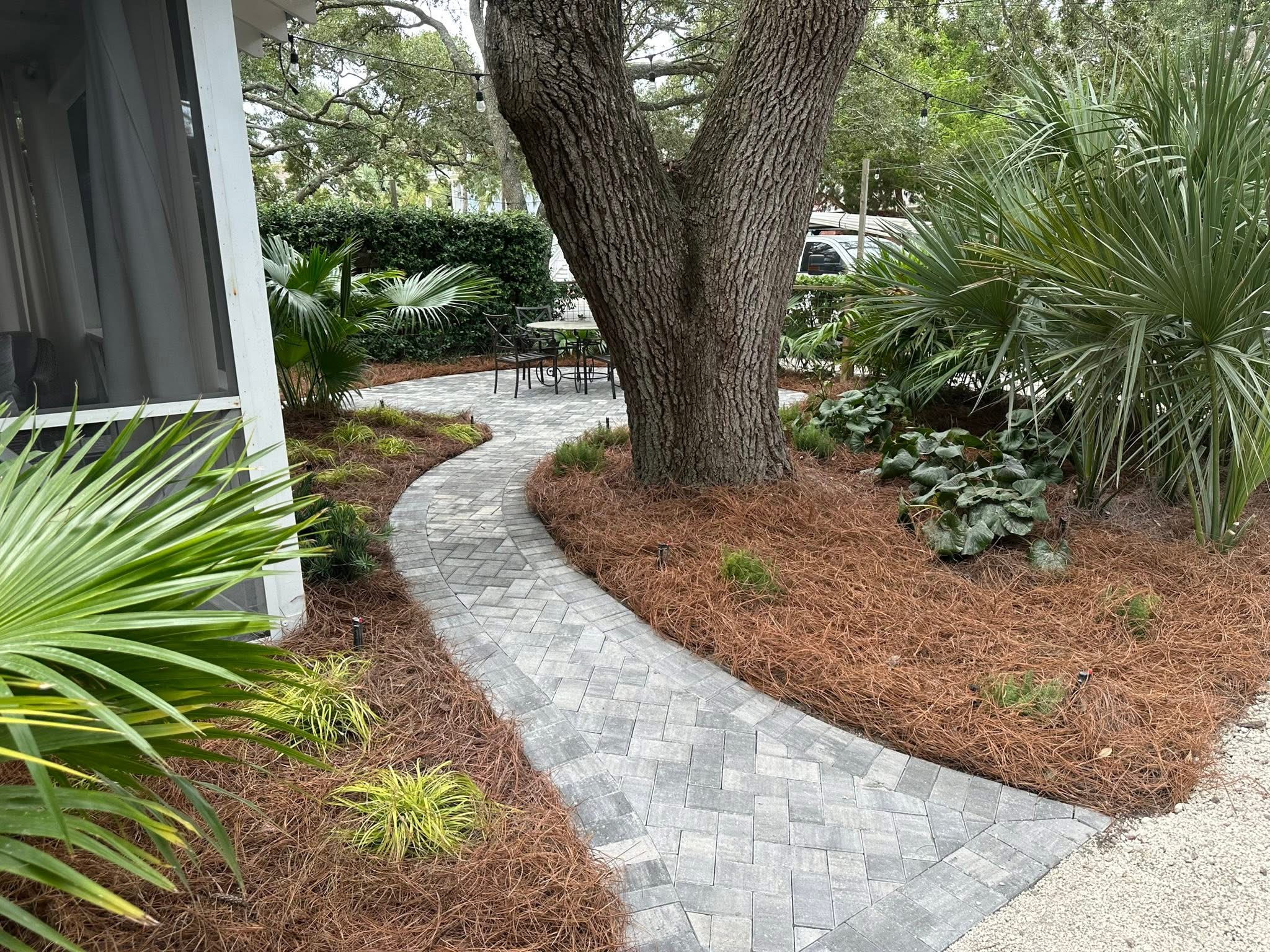 Peach & Palm project 19