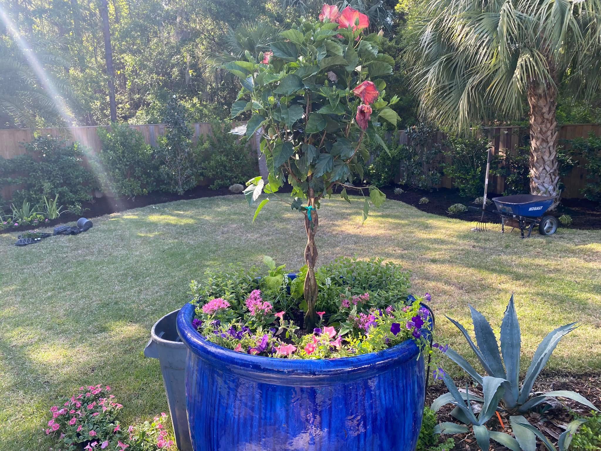 Peach & Palm project 28