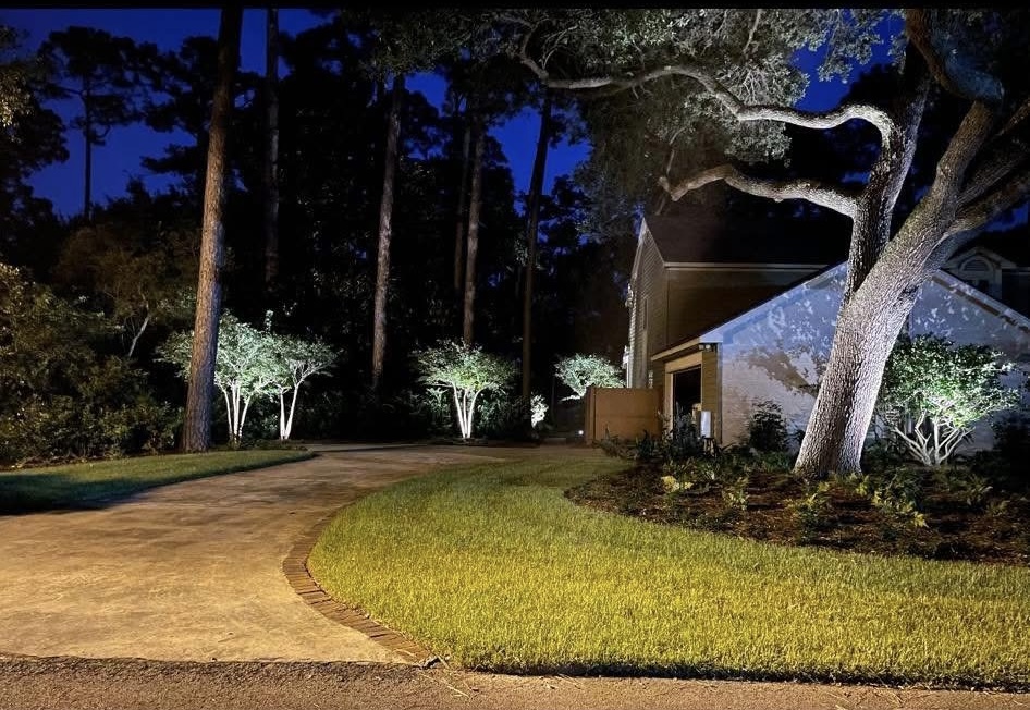 Peach & Palm project 29