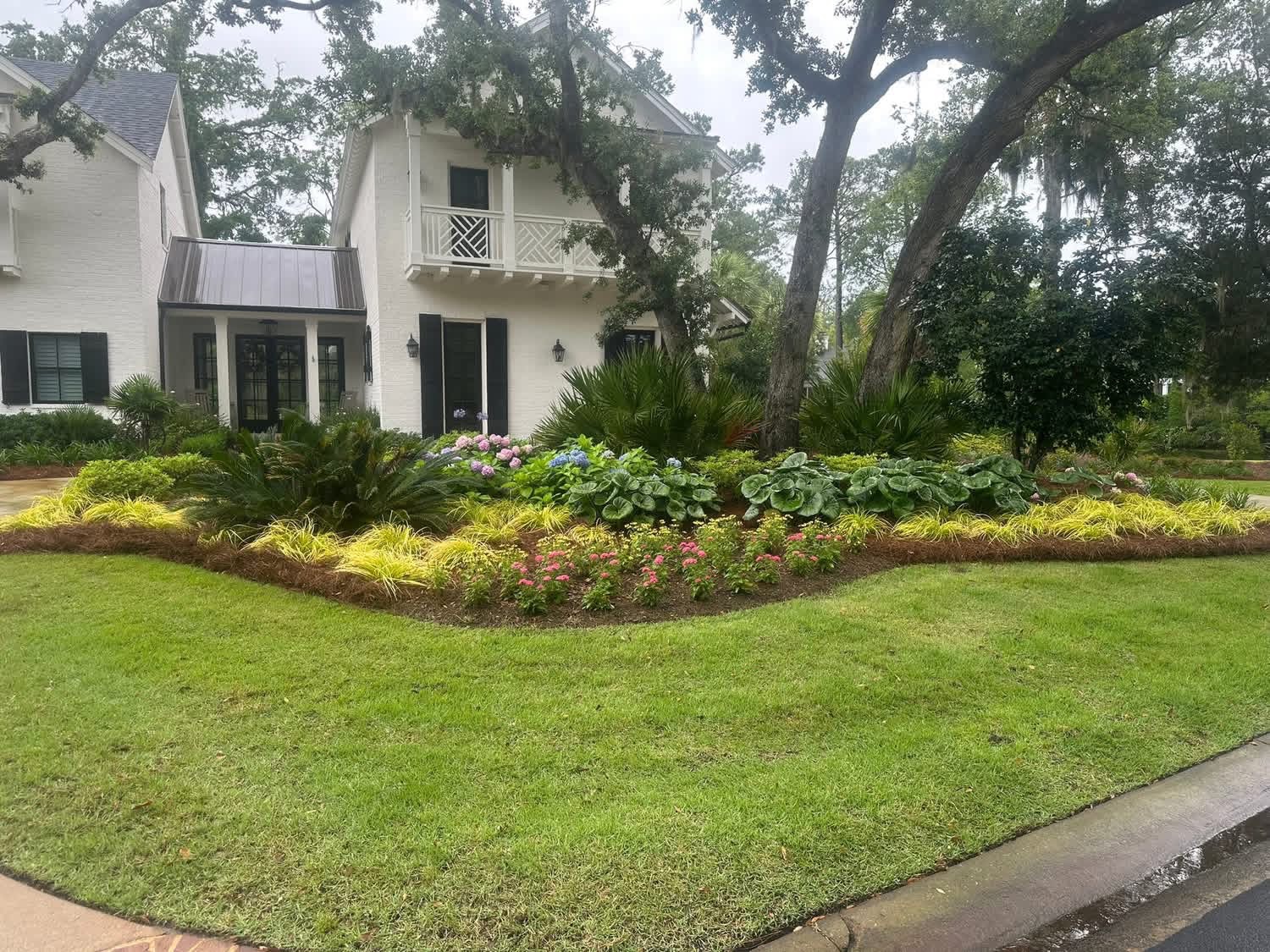 Peach & Palm project 3