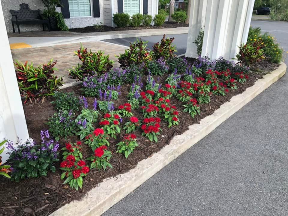 Peach & Palm project 39