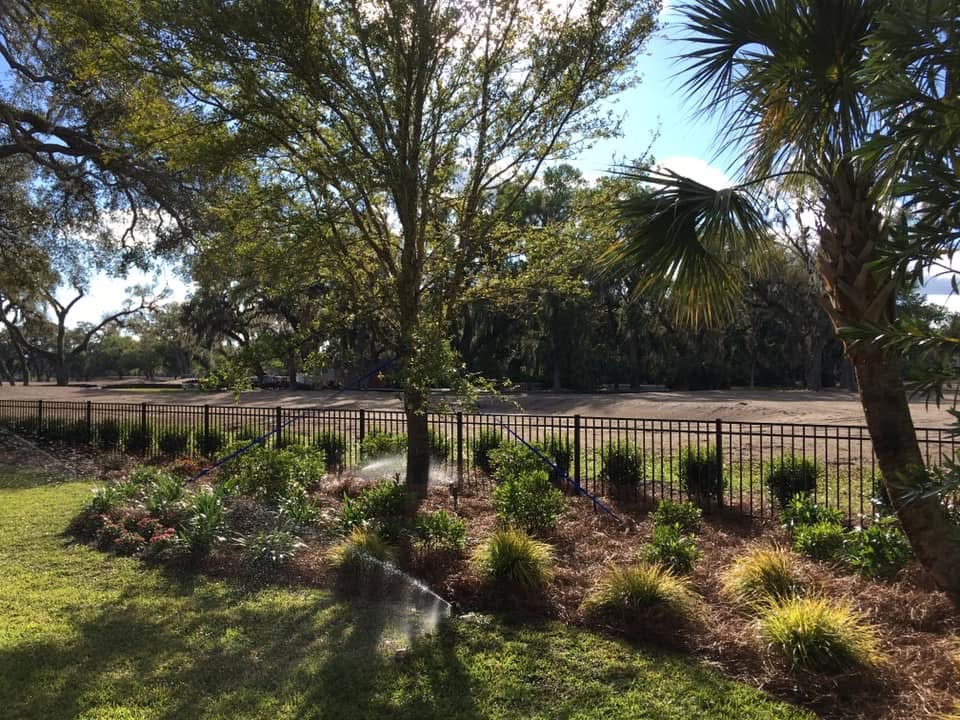 Peach & Palm project 46