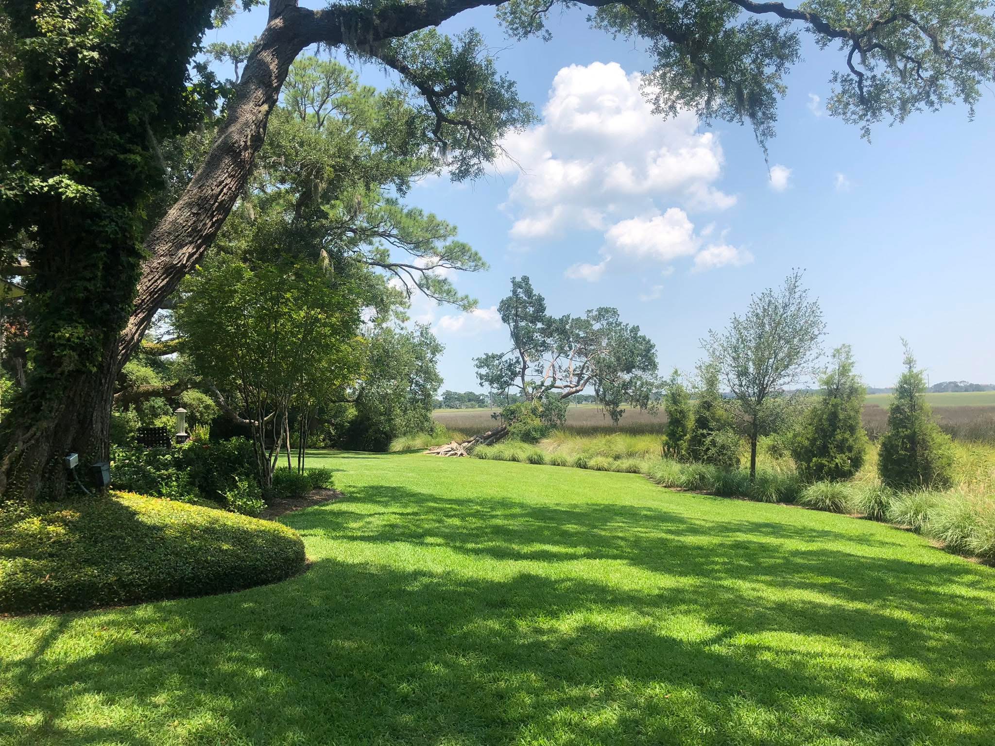 Peach & Palm project 5