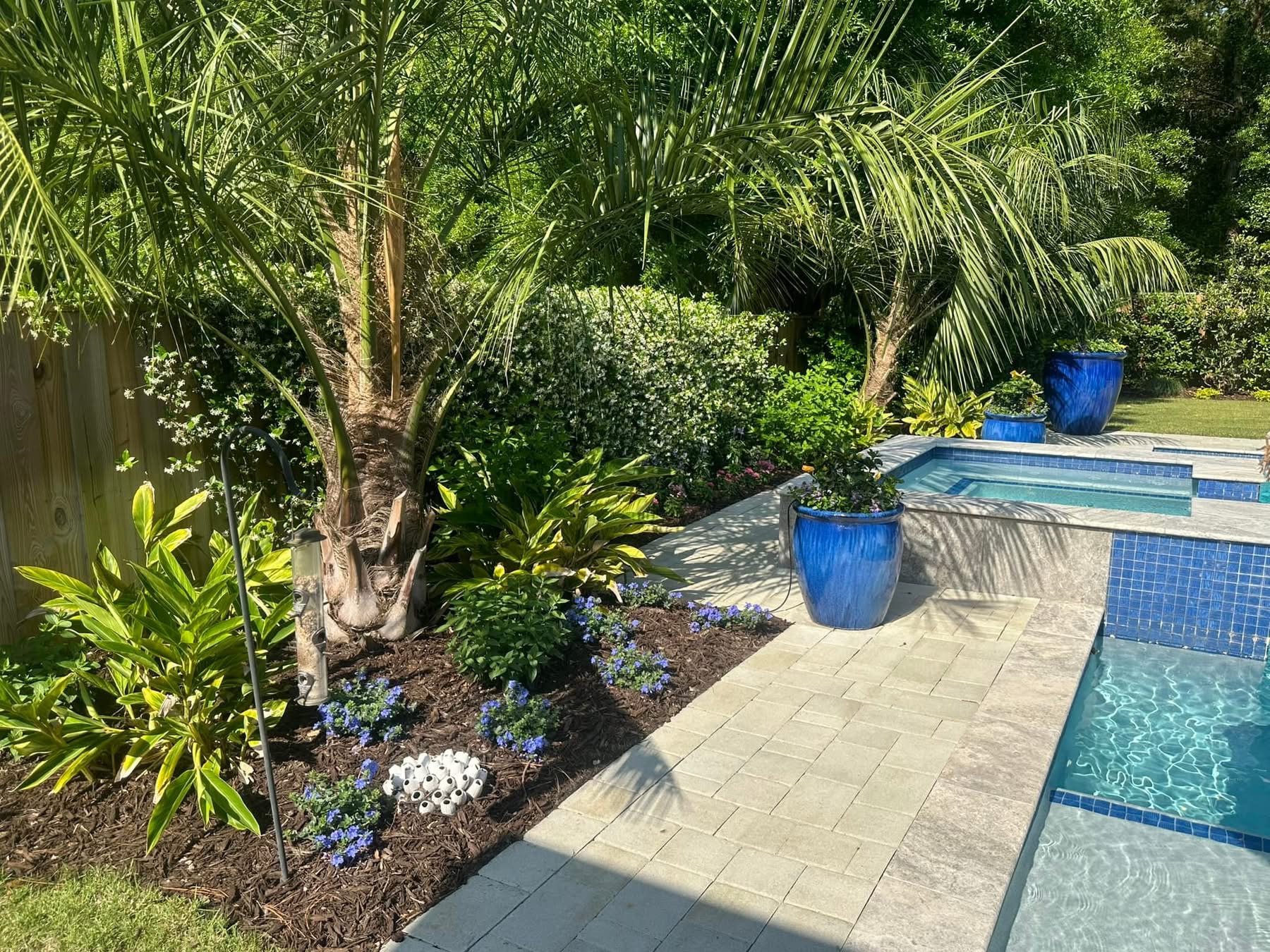 Peach & Palm project 8