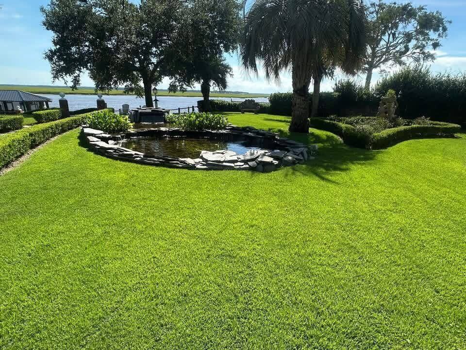 Beautiful Georgia lawn